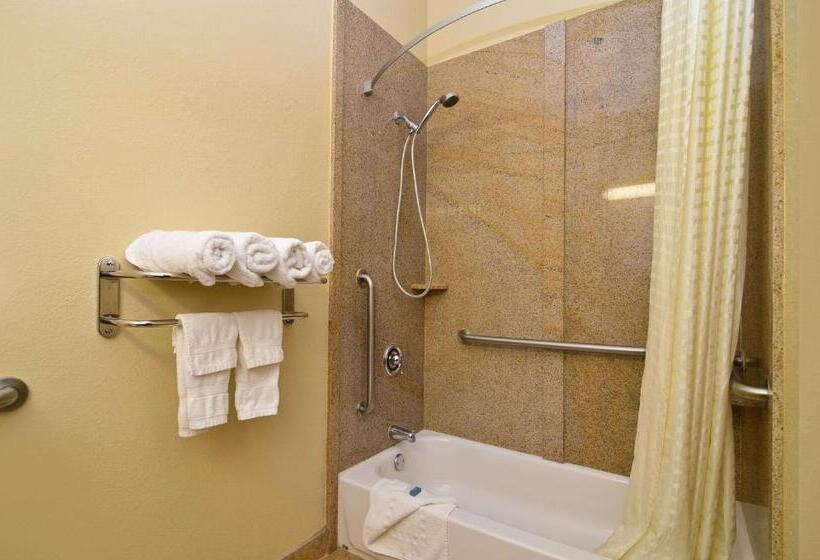 غرفة قياسية سرير كينج لذوى الإحتياجات الخاصة, Best Western Opp Inn