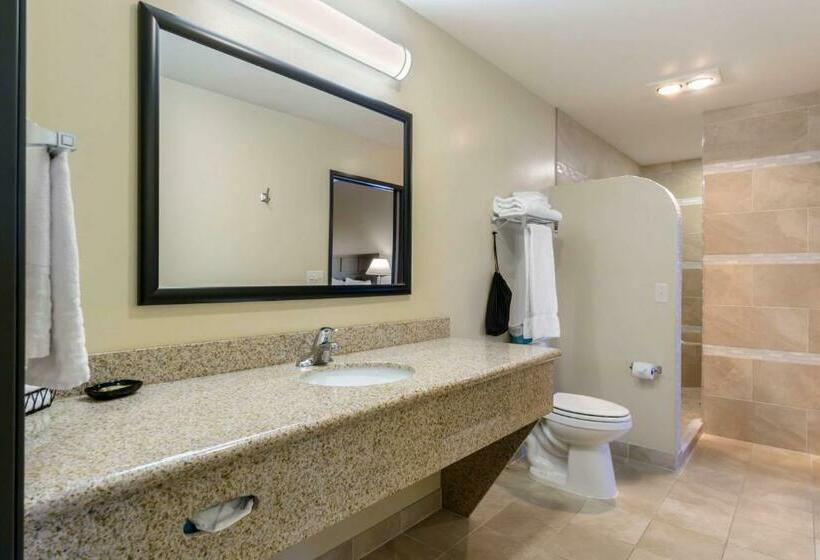 스위트 킹사이즈 침대, Best Western Plus Grapevine Inn