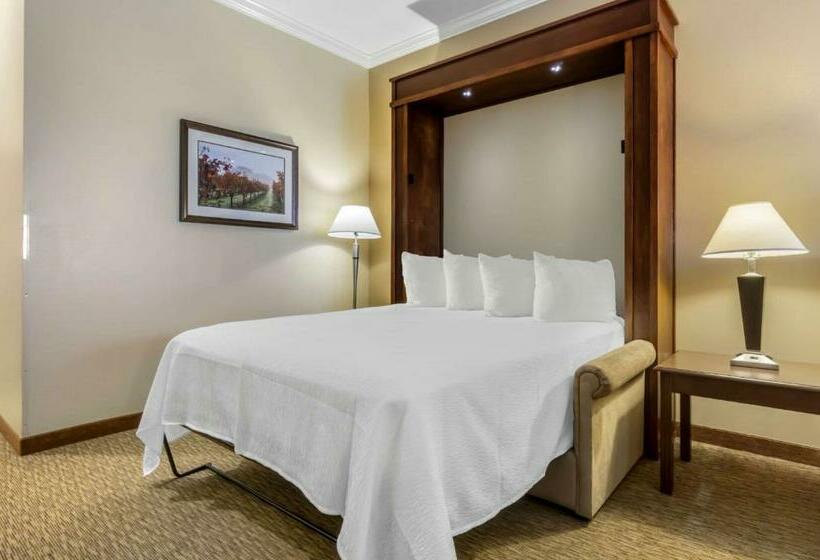 带大床的套房, Best Western Plus Grapevine Inn