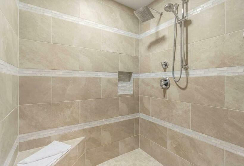 带大床的套房, Best Western Plus Grapevine Inn