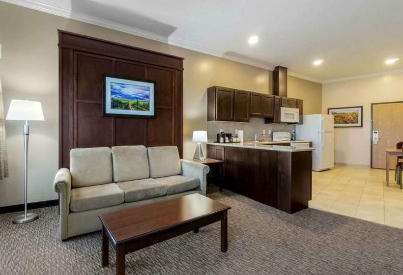 带大床的套房, Best Western Plus Grapevine Inn