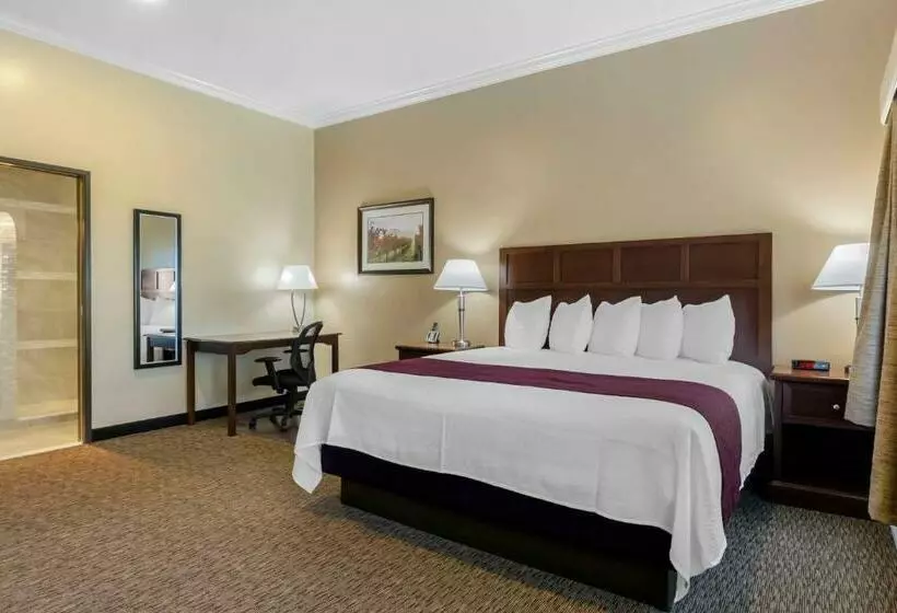 キングサイズベッドのスイートルーム, Best Western Plus Grapevine Inn