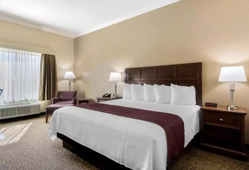 キングサイズベッドのスタンダードルーム, Best Western Plus Grapevine Inn