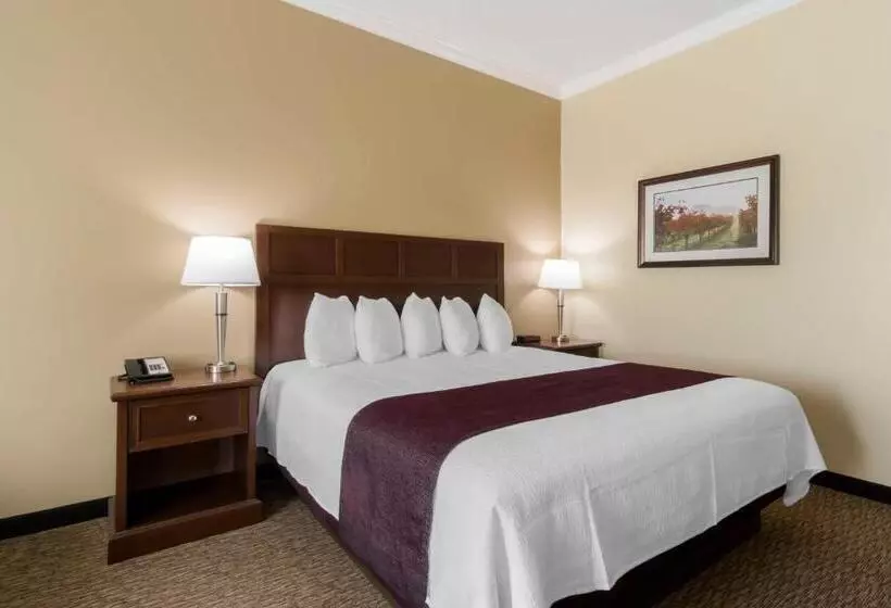 キングサイズベッドのスタンダードルーム, Best Western Plus Grapevine Inn