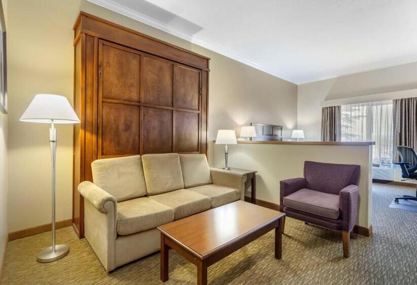 Mini Suite, Best Western Plus Grapevine Inn