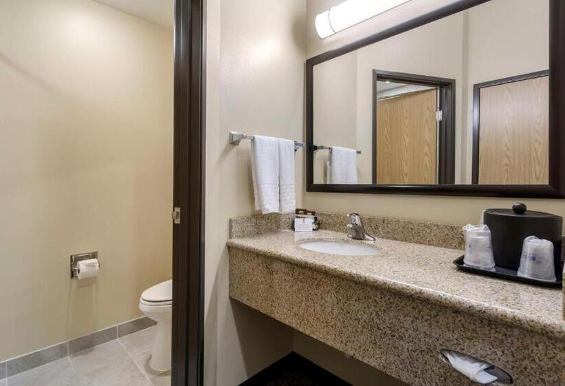 标准间, Best Western Plus Grapevine Inn