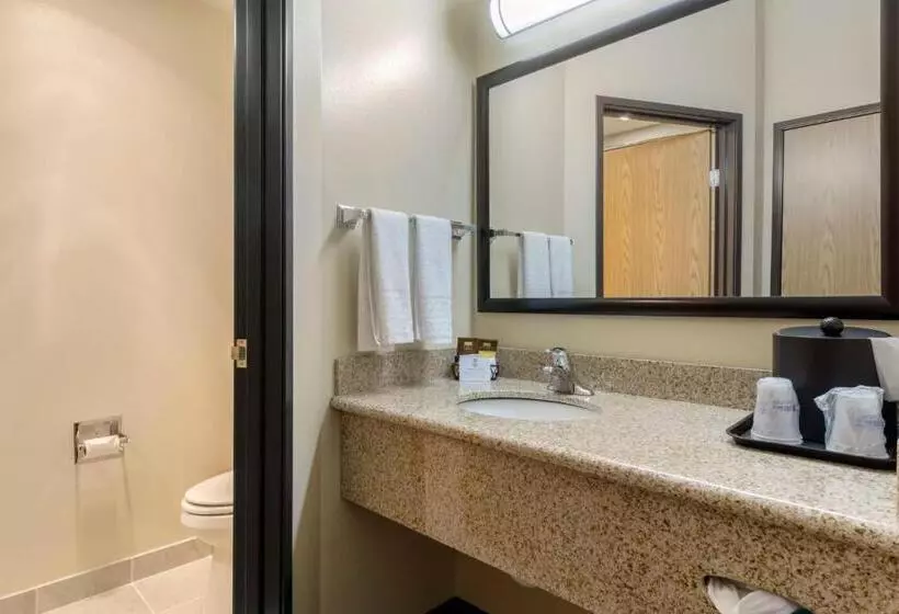 キングサイズベッドのスタンダードルーム, Best Western Plus Grapevine Inn