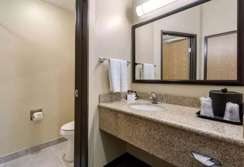 シングルデラックスルーム, Best Western Plus Grapevine Inn