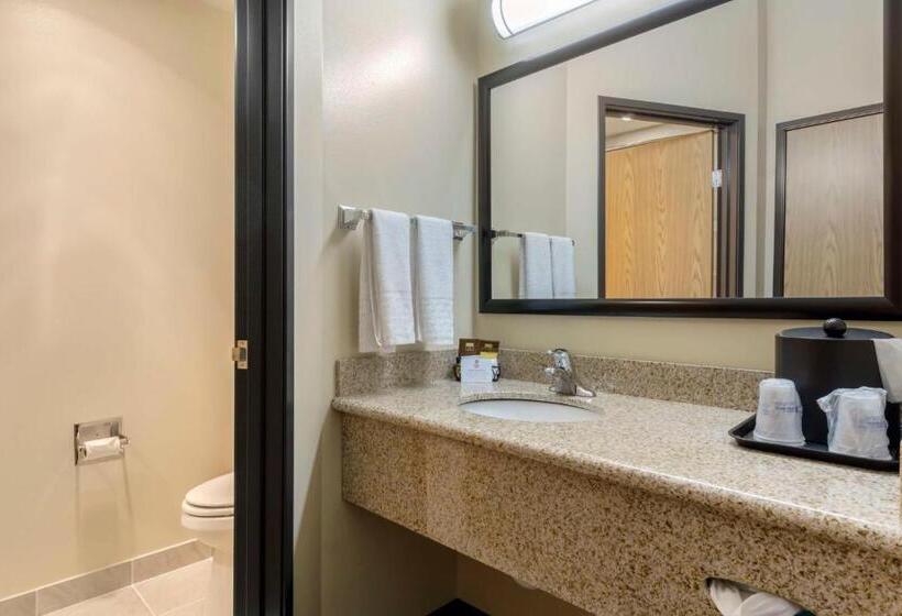 带观景的标准间, Best Western Plus Grapevine Inn