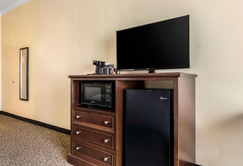 带观景的标准间, Best Western Plus Grapevine Inn