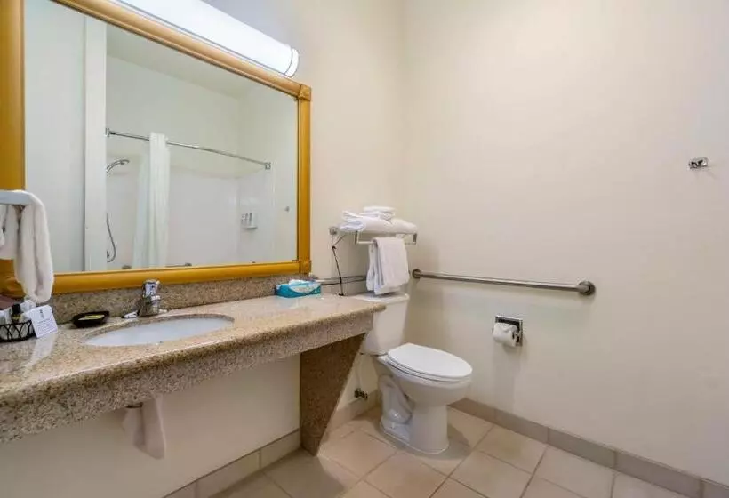 身障者適用スタンダードルーム, Best Western Plus Grapevine Inn
