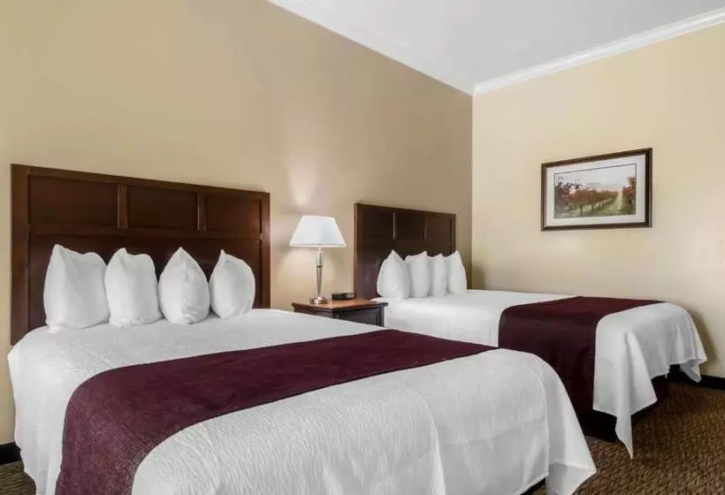 身障者適用スタンダードルーム, Best Western Plus Grapevine Inn