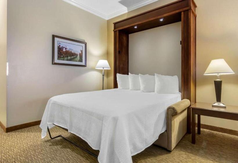 适合残疾人使用的标准间, Best Western Plus Grapevine Inn