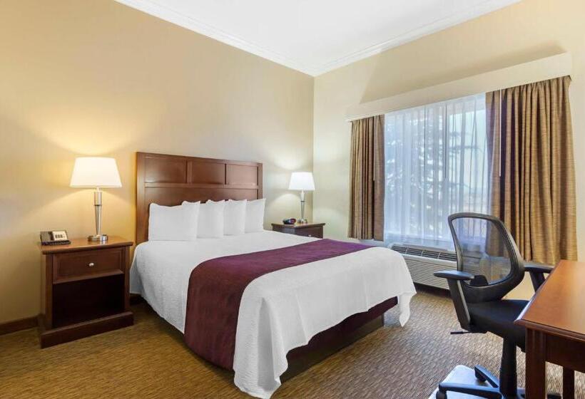 适合残疾人使用的标准间, Best Western Plus Grapevine Inn