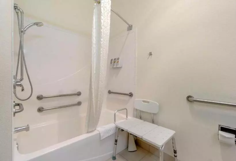 身障者適用キングサイズベッドルーム, Best Western Plus Grapevine Inn