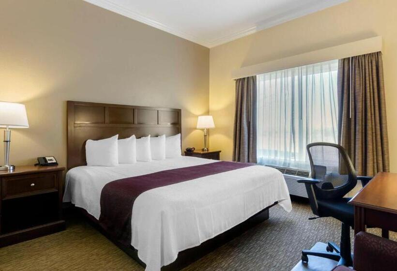 适合残疾人士使用的带超级大床的标准间, Best Western Plus Grapevine Inn