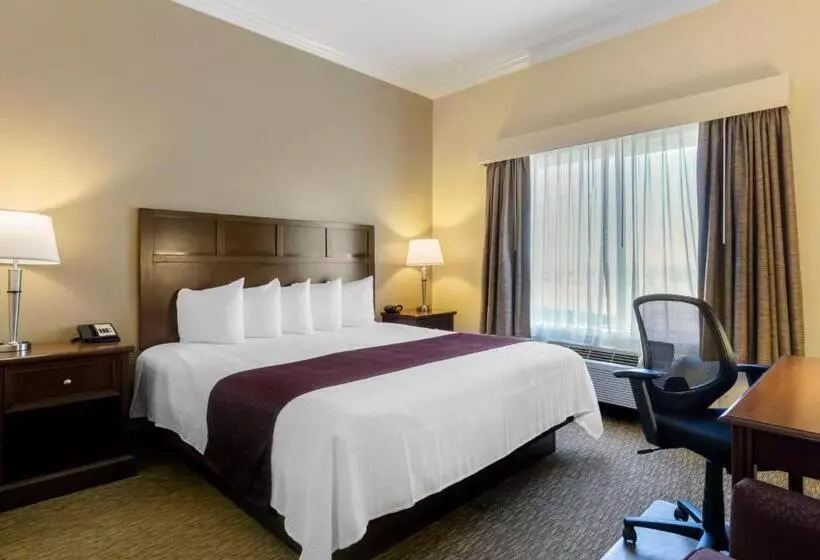 身障者適用キングサイズベッドルーム, Best Western Plus Grapevine Inn