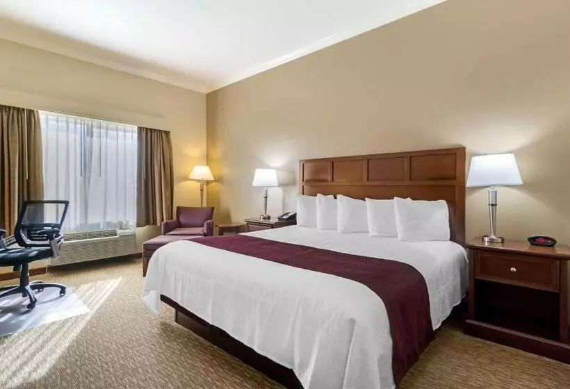 身障者適用キングサイズベッドルーム, Best Western Plus Grapevine Inn