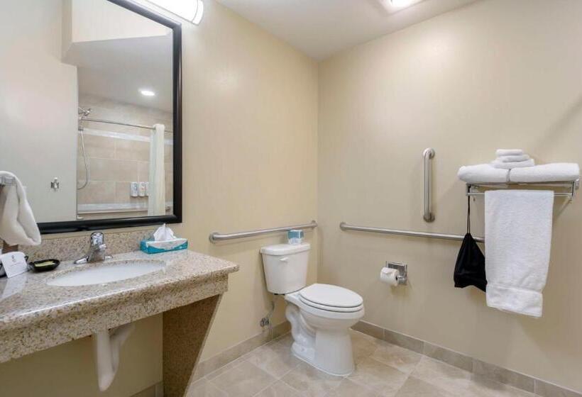장애인을 위한 킹사이즈 침대 스탠다드 룸, Best Western Plus Grapevine Inn