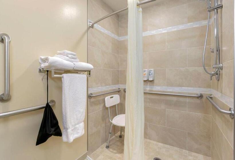 适合残疾人士使用的带超级大床的标准间, Best Western Plus Grapevine Inn