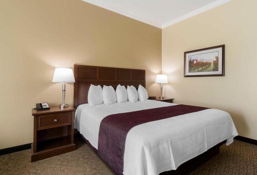 适合残疾人士使用的带超级大床的标准间, Best Western Plus Grapevine Inn