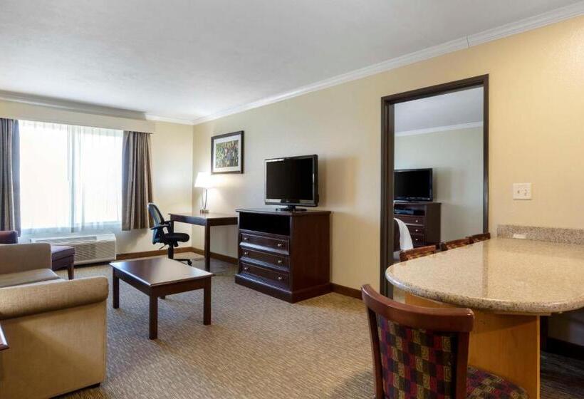 스위트 킹사이즈 침대, Best Western Plus Grapevine Inn