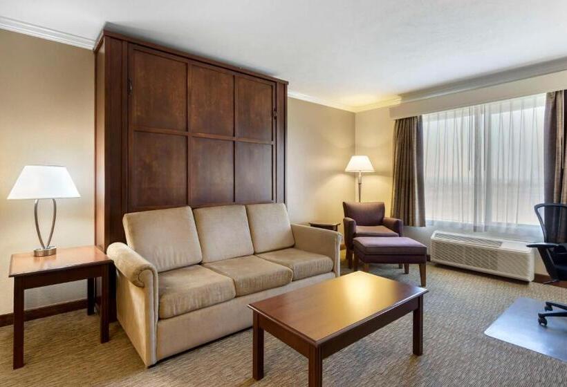 带大床的套房, Best Western Plus Grapevine Inn