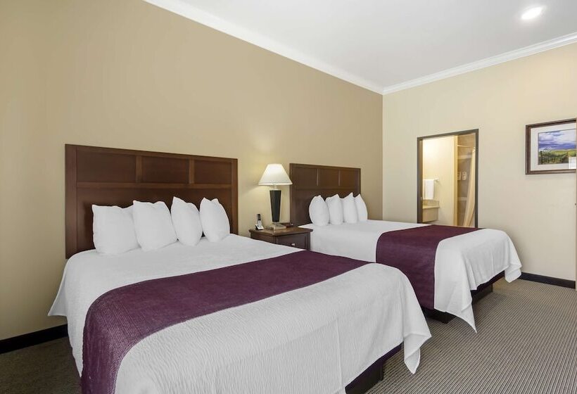 스탠다드 룸 더블 침대 2개, Best Western Plus Grapevine Inn