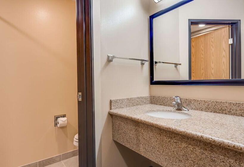 带2个双人床的标准工作室, Best Western Plus Grapevine Inn