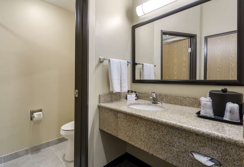 带2个双人床的标准工作室, Best Western Plus Grapevine Inn