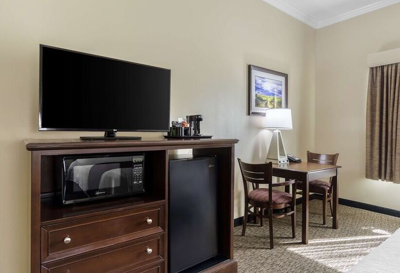 带2个双人床的标准工作室, Best Western Plus Grapevine Inn