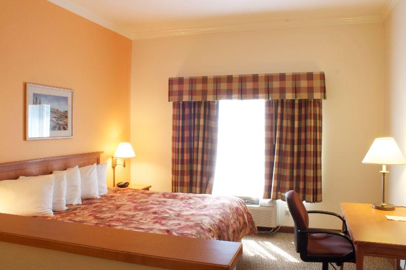 带大床的套房, Best Western Plus Grapevine Inn