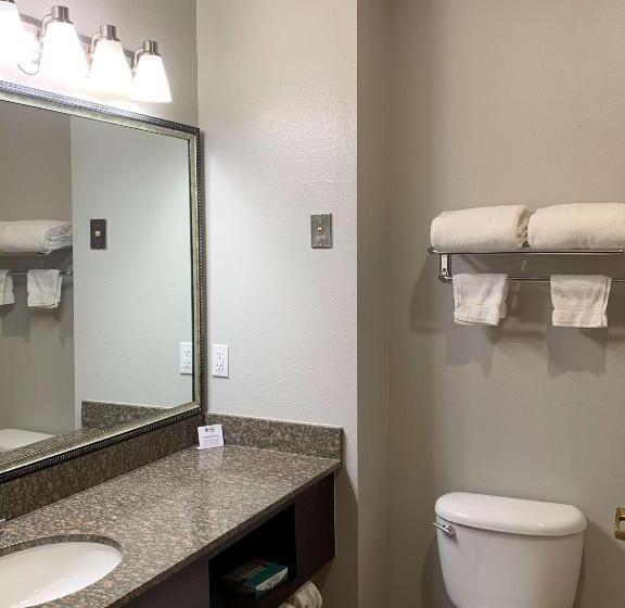 キングサイズベッドのスーペリアルーム, Best Western Plus Lake Worth