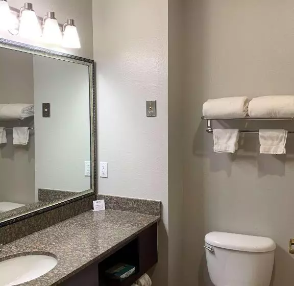 キングサイズベッドのスーペリアルーム, Best Western Plus Lake Worth