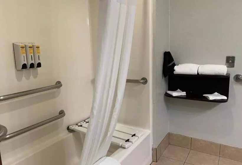 身障者適用キングサイズベッドルーム, Best Western Plus Lake Worth