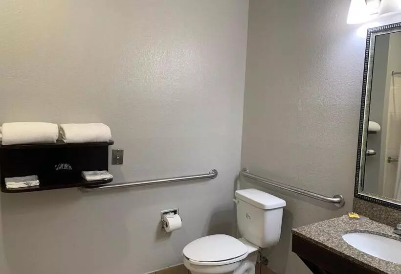 身障者適用キングサイズベッドルーム, Best Western Plus Lake Worth