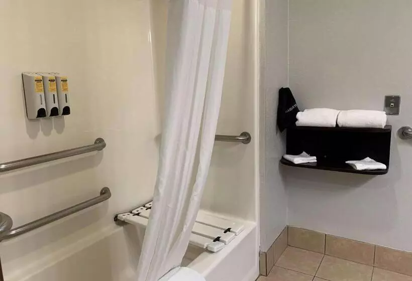 身障者適用キングサイズベッドルーム, Best Western Plus Lake Worth