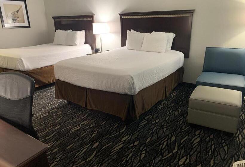 スタンダードルーム, Best Western Plus Lake Worth