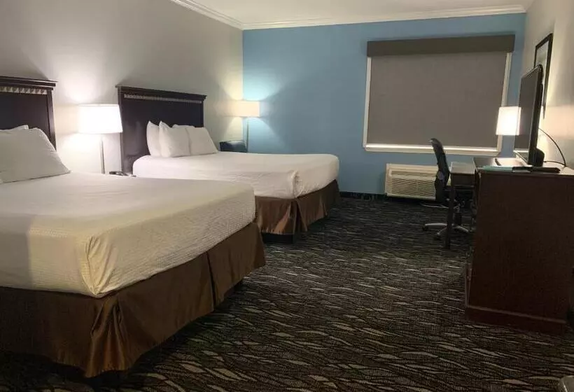 スタンダードルーム, Best Western Plus Lake Worth