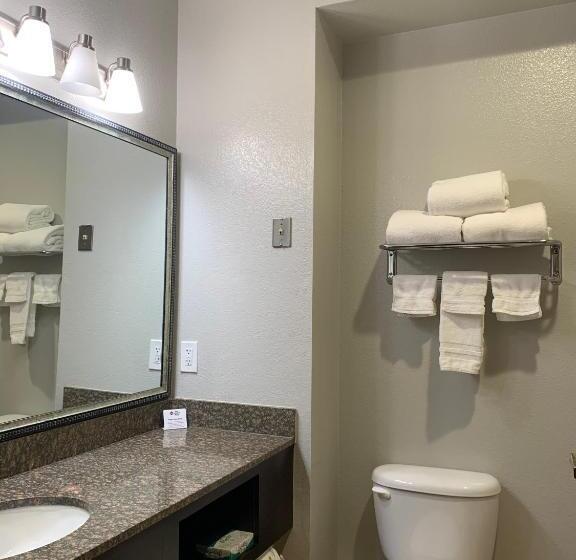 スタンダードルーム, Best Western Plus Lake Worth