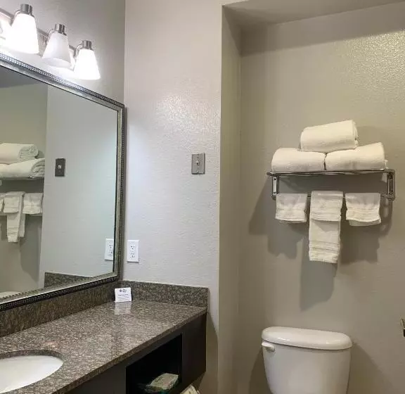 スタンダードルーム, Best Western Plus Lake Worth