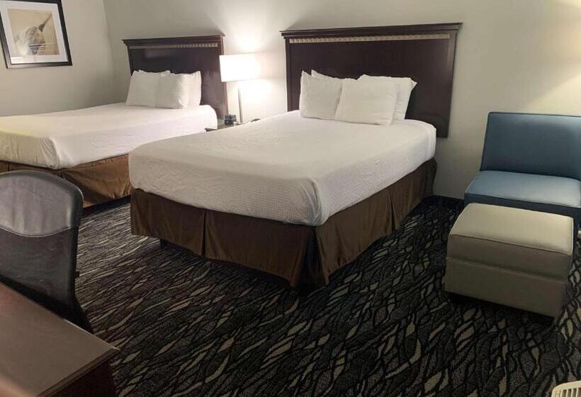 スタンダードルーム, Best Western Plus Lake Worth