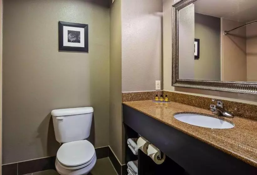 スタンダードルーム, Best Western Plus Midwest City Inn & Suites