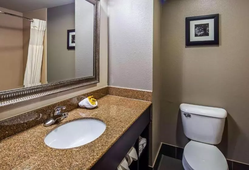 キングサイズベッドのスタンダードルーム, Best Western Plus Midwest City Inn & Suites
