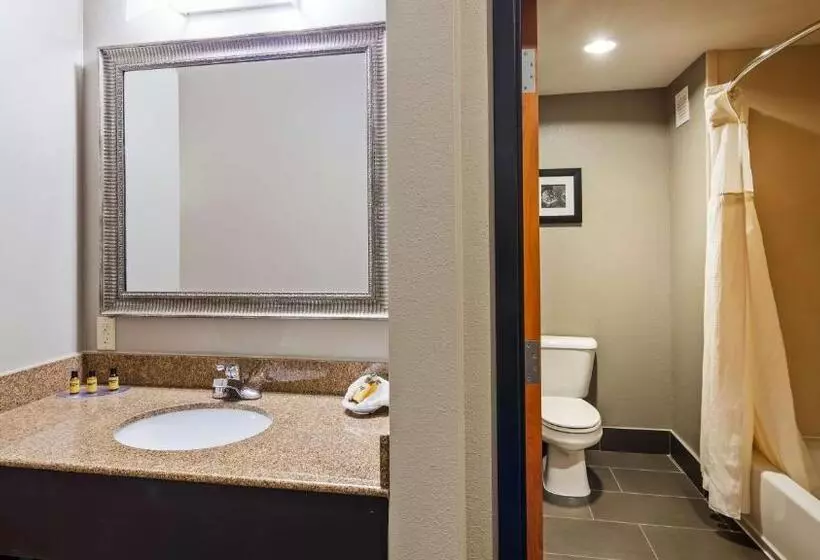 キングサイズベッドのスタンダードルーム, Best Western Plus Midwest City Inn & Suites