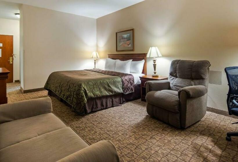 חדר סטנדרט עם מיטת קינג, Best Western River Cities