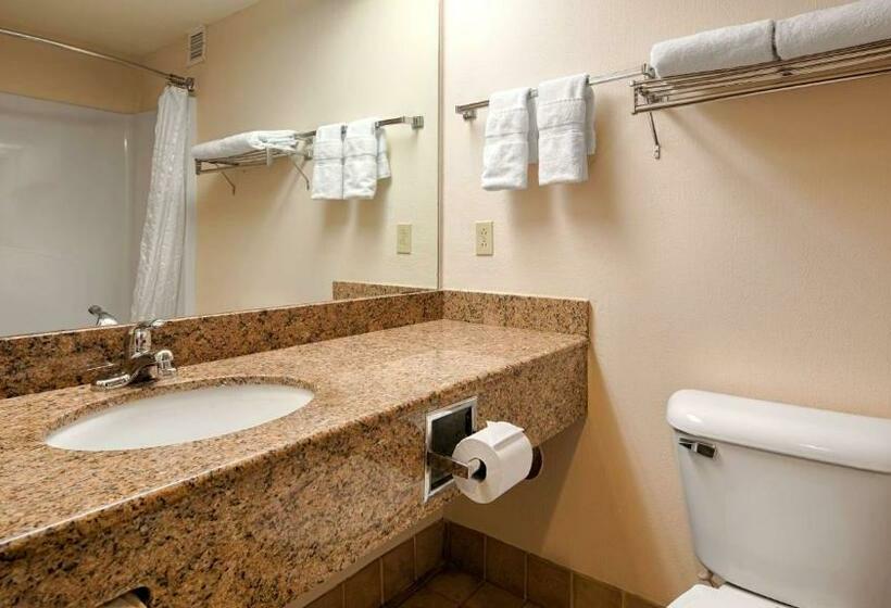 스탠다드 룸 킹사이즈 침대, Best Western River Cities