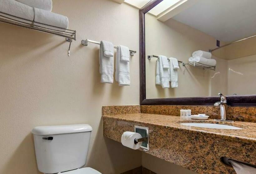 חדר סטנדרט עם מיטת קינג, Best Western River Cities