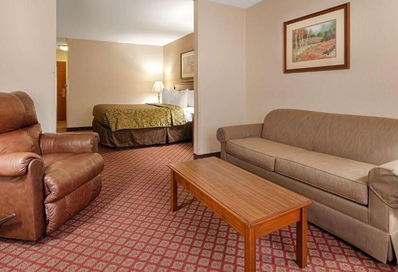 מיטת קינג בסוויטה, Best Western River Cities