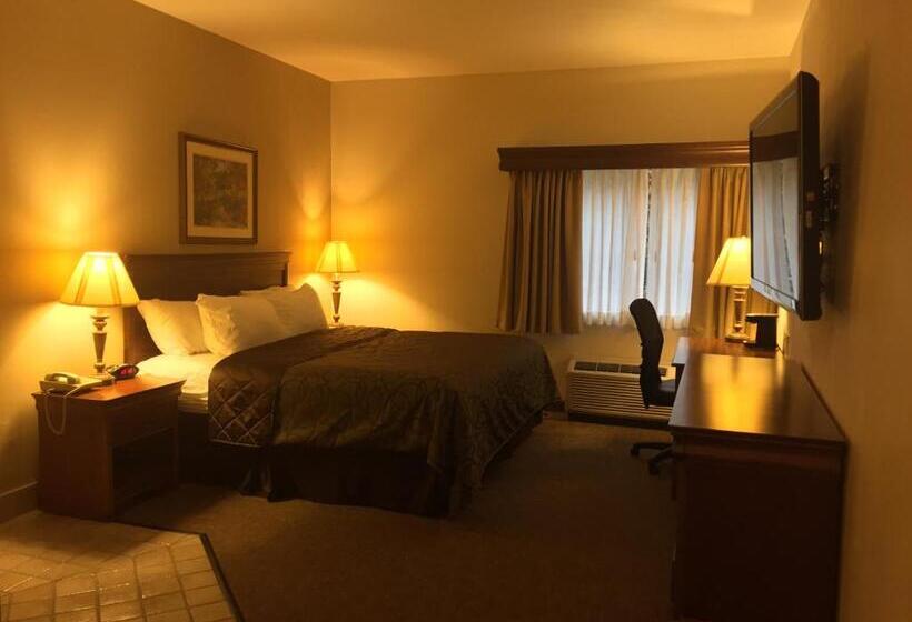 스탠다드 룸 킹사이즈 침대, Best Western River Cities